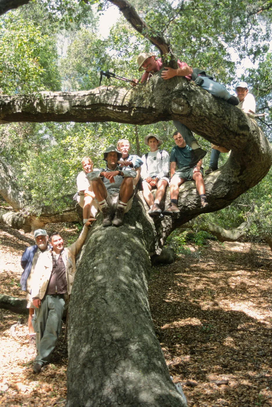 Horticulture Field Trip, SBBG Gardeners, Figueroa Mountain