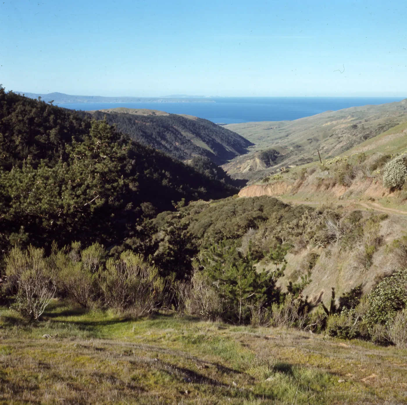 Santa Cruz Island