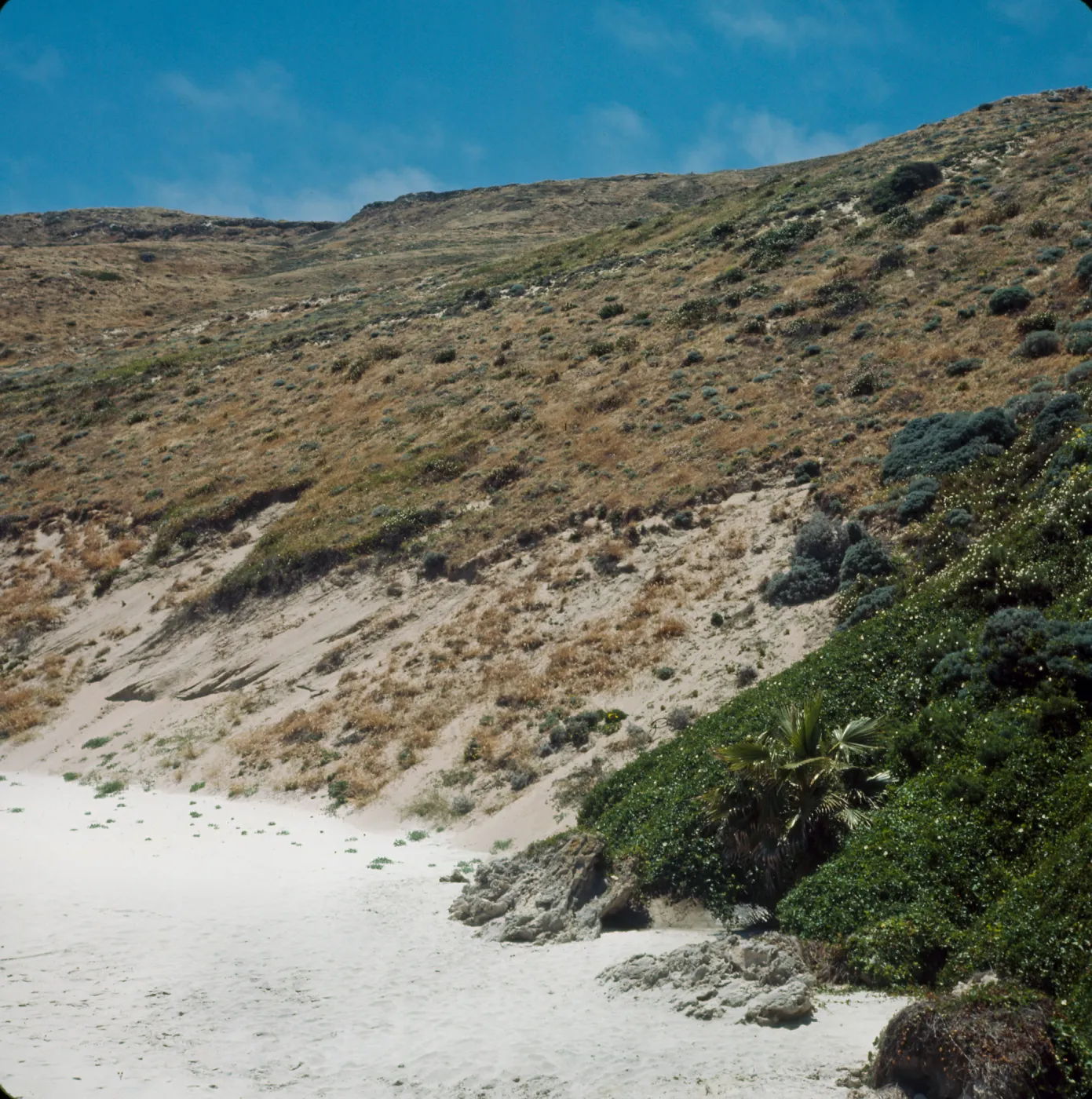 San Miguel Island