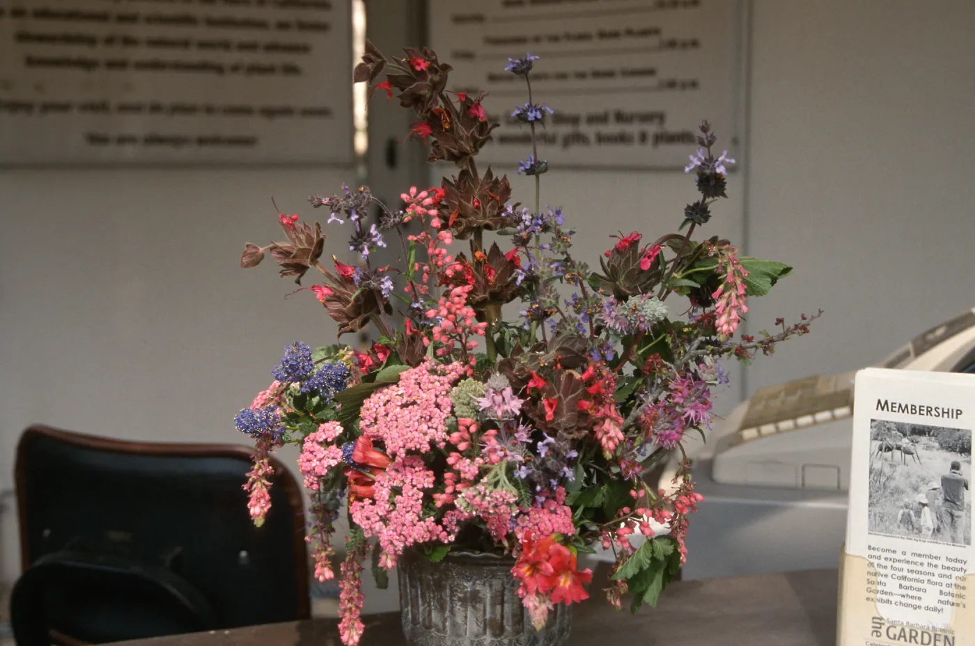 Native Plant Flower Arrangements