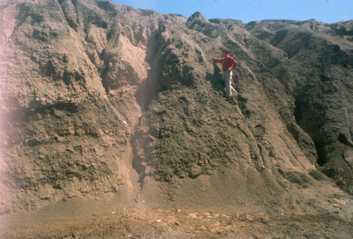 Santa Cruz Island