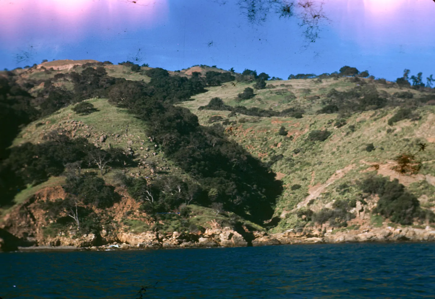 Santa Rosa Island?