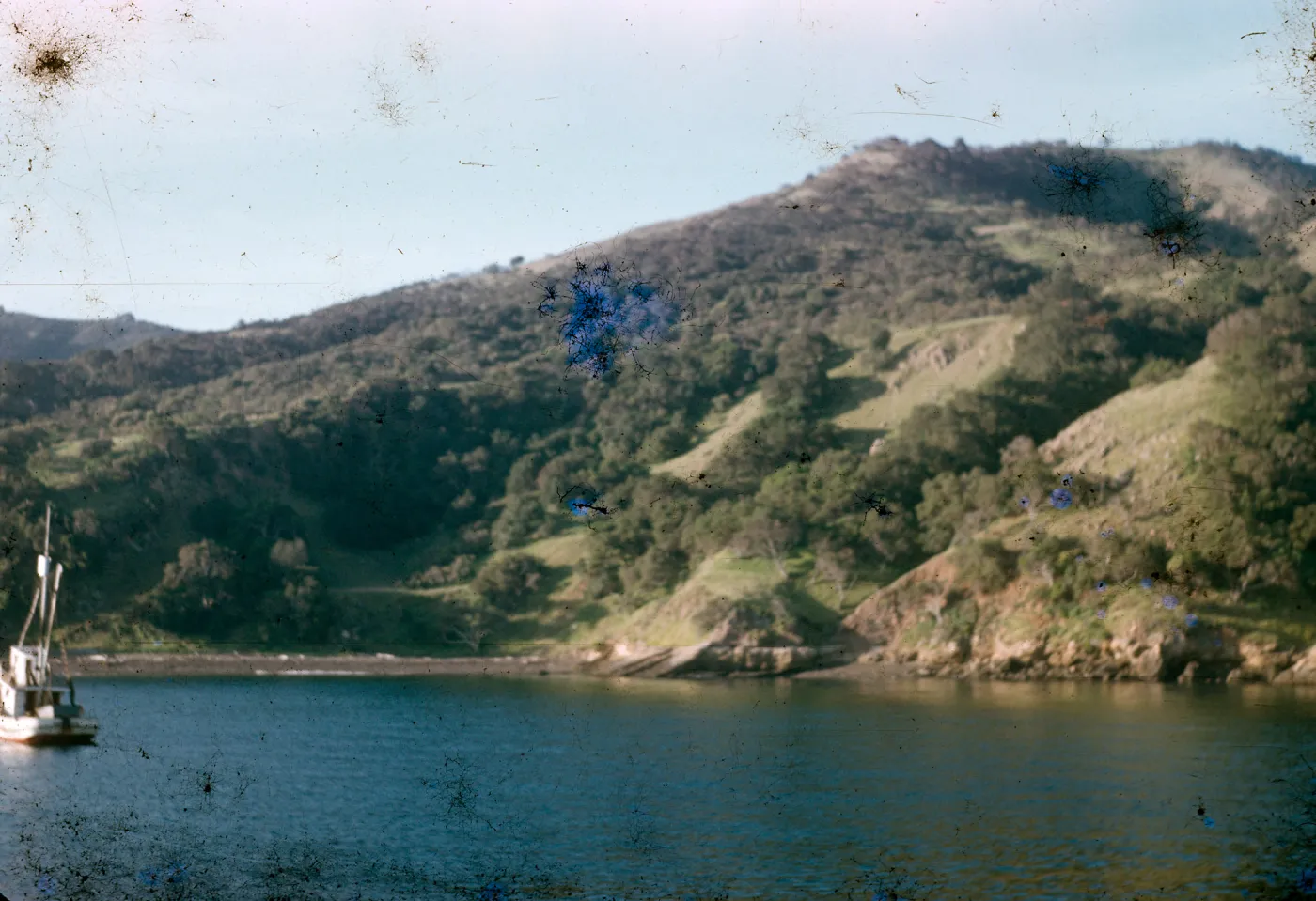 Santa Rosa Island?