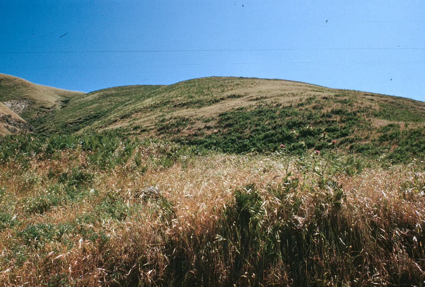 Santa Cruz Island, north side near head to Chinese Harbor