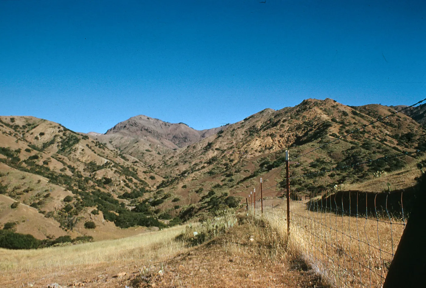 Santa Cruz Island, Largo Canyon looking north