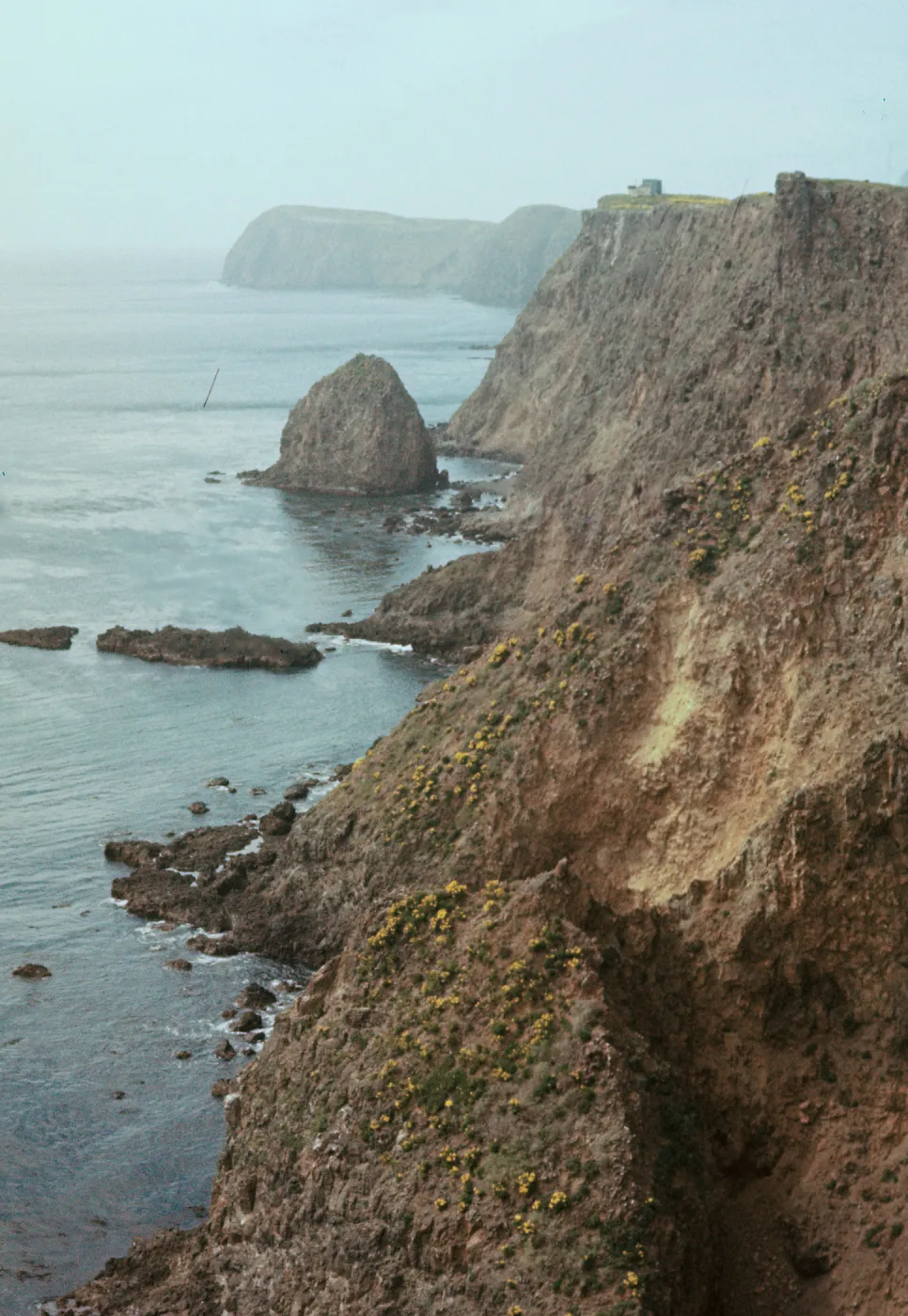 East Anacapa Island, South Coast, Alligator Rock