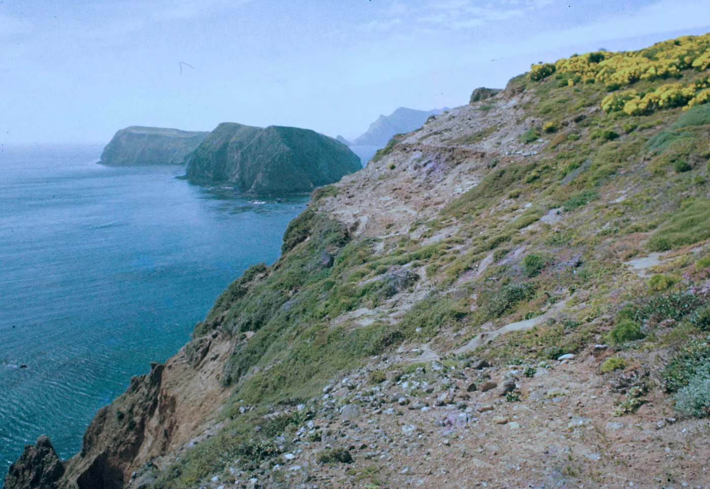 East Anacapa Island, South Coast