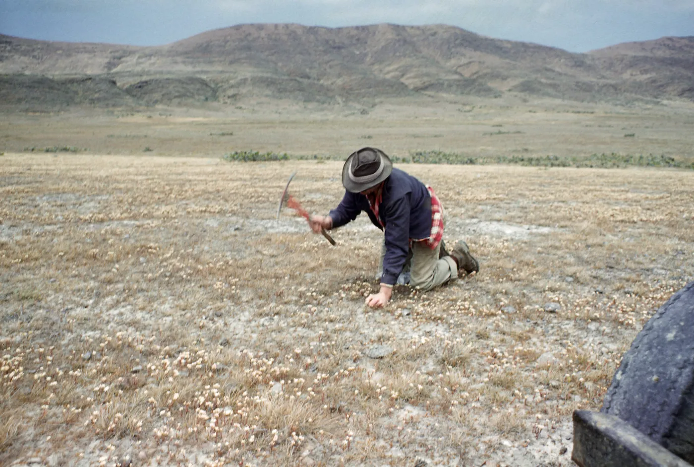 Cliff Smith, Forneys Flats, Santa Cruz Island