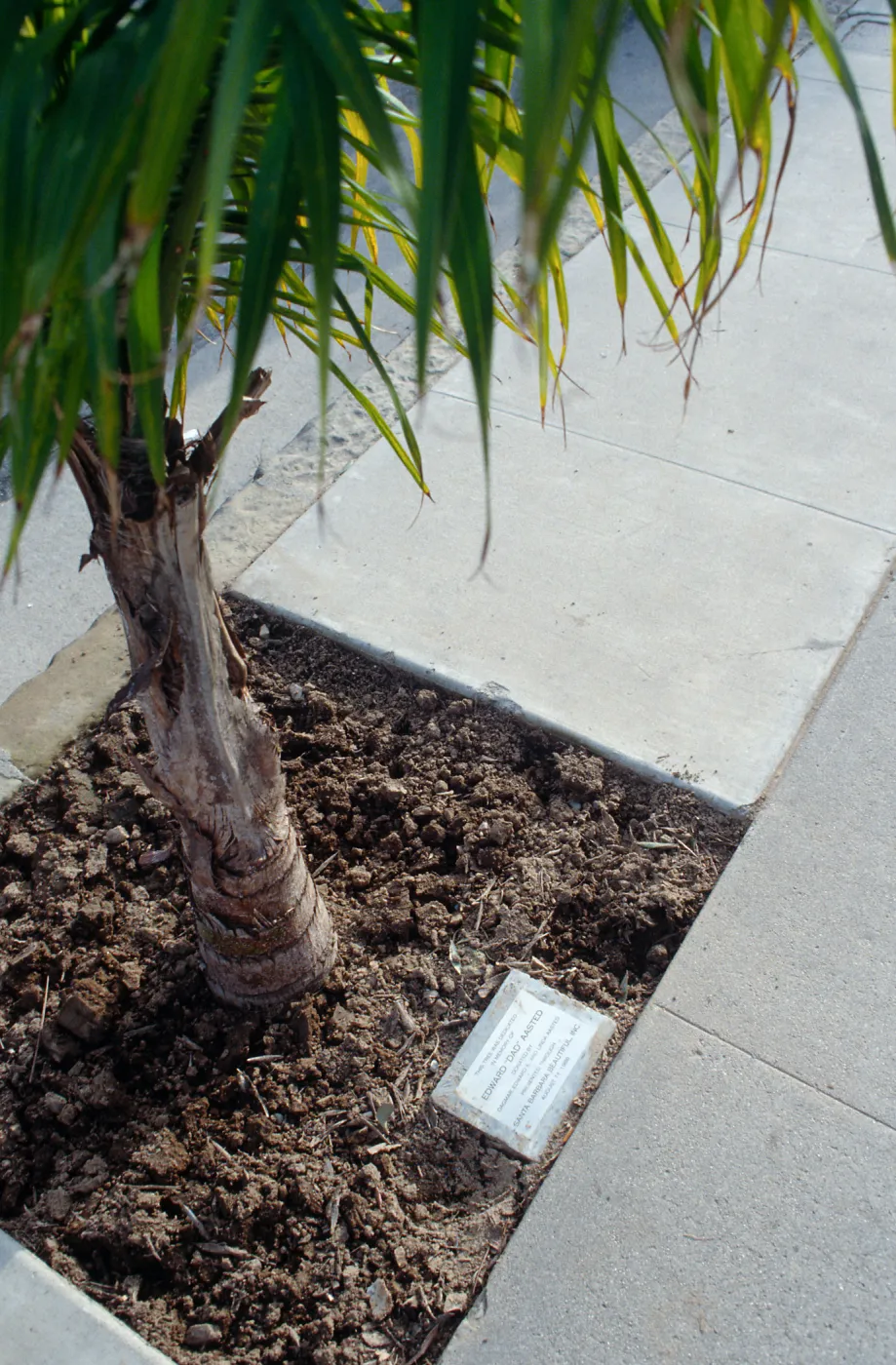 CA, Santa Barbara, Trees, Memorials -To Dad Aasted