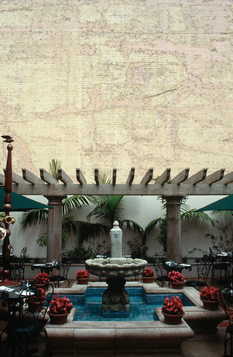 CA, Santa Barbara, Trees, Memorials - Sullivan Goss Bookstore, inside open patio