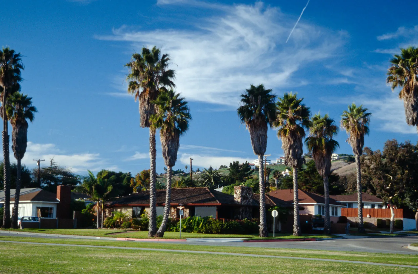 CA, Santa Barbara, Palm Trees- Palms, Shoreline Dr.