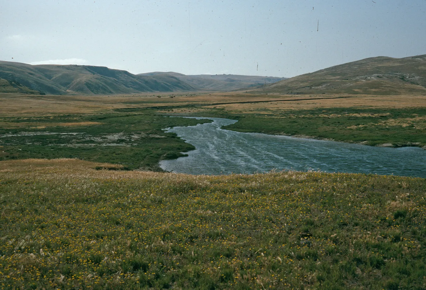 Marsh, mouth of old ranch horse cyn. Santa Rosa Island