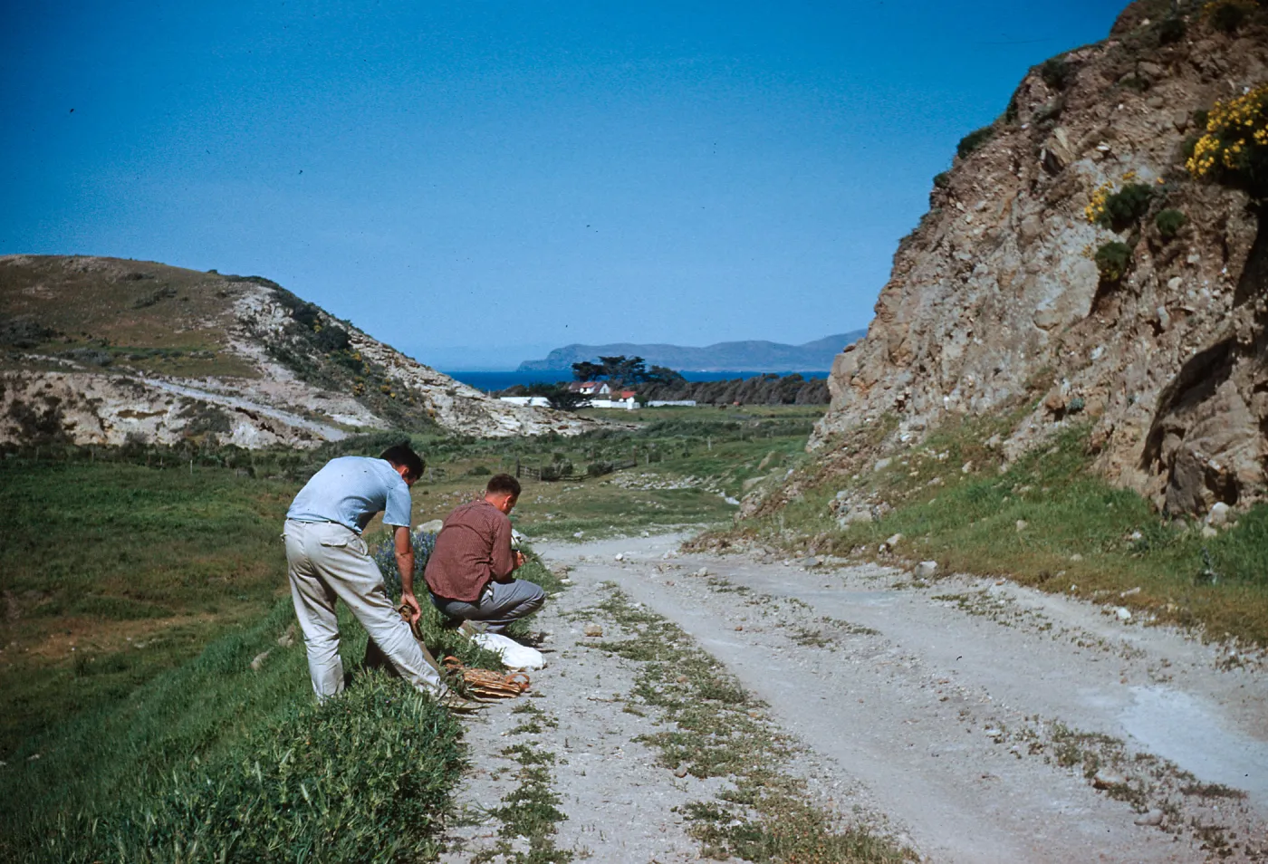 (Peter) Raven and (Robert) Ornduff, Canyon del Casa, Santa Rosa Island