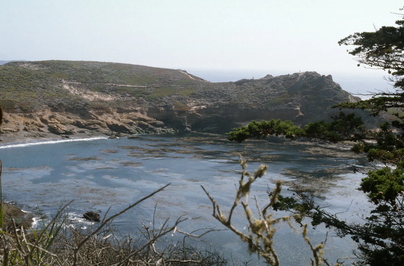 Docent field trip to Point Lobos with Mary Carroll