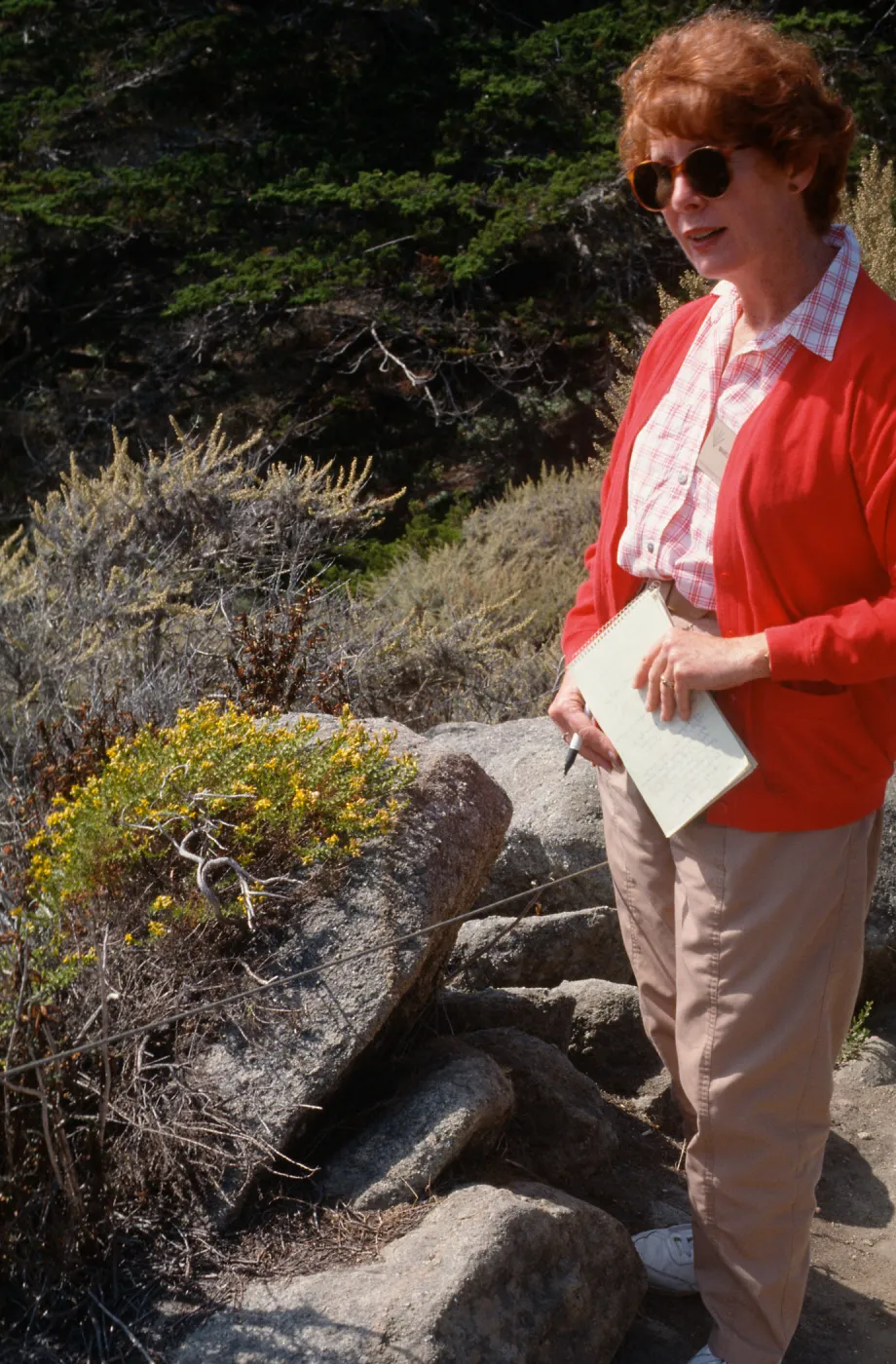 Docent field trip to Point Lobos with Mary Carroll