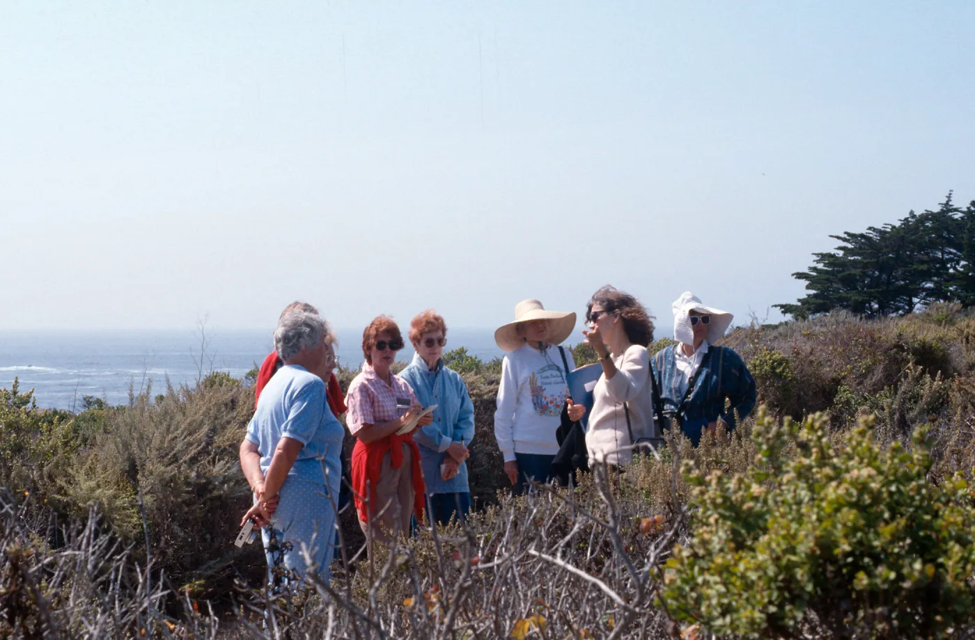 Docent field trip to Point Lobos with Mary Carroll