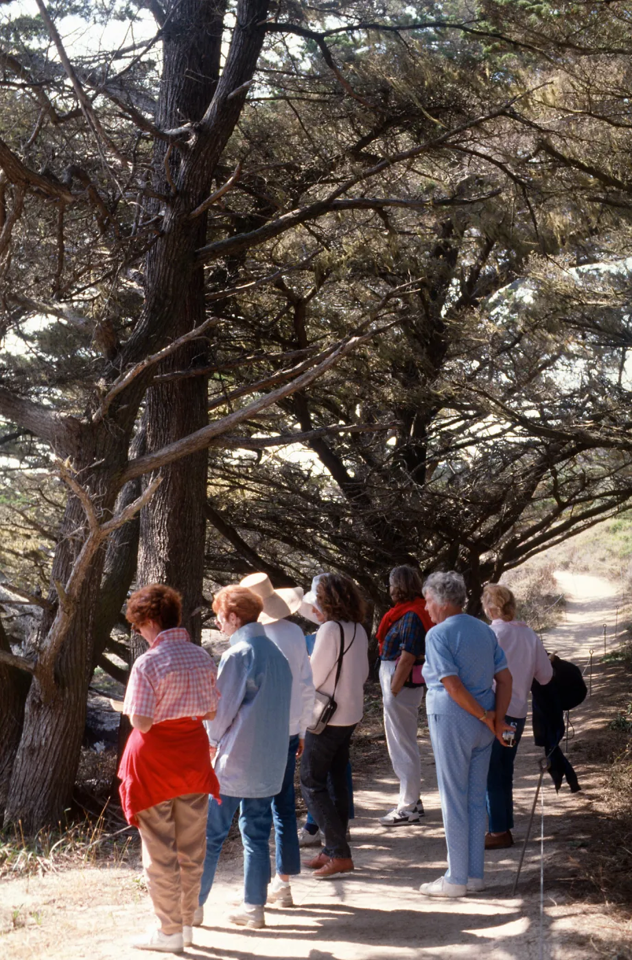 Docent field trip to Point Lobos with Mary Carroll