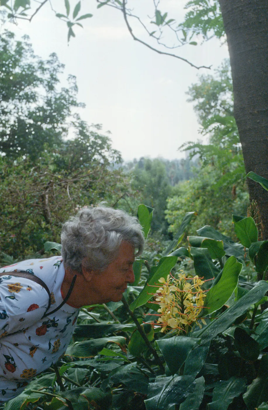 Docent field trip to Virginia Robinson Gardens, Beverly Hills