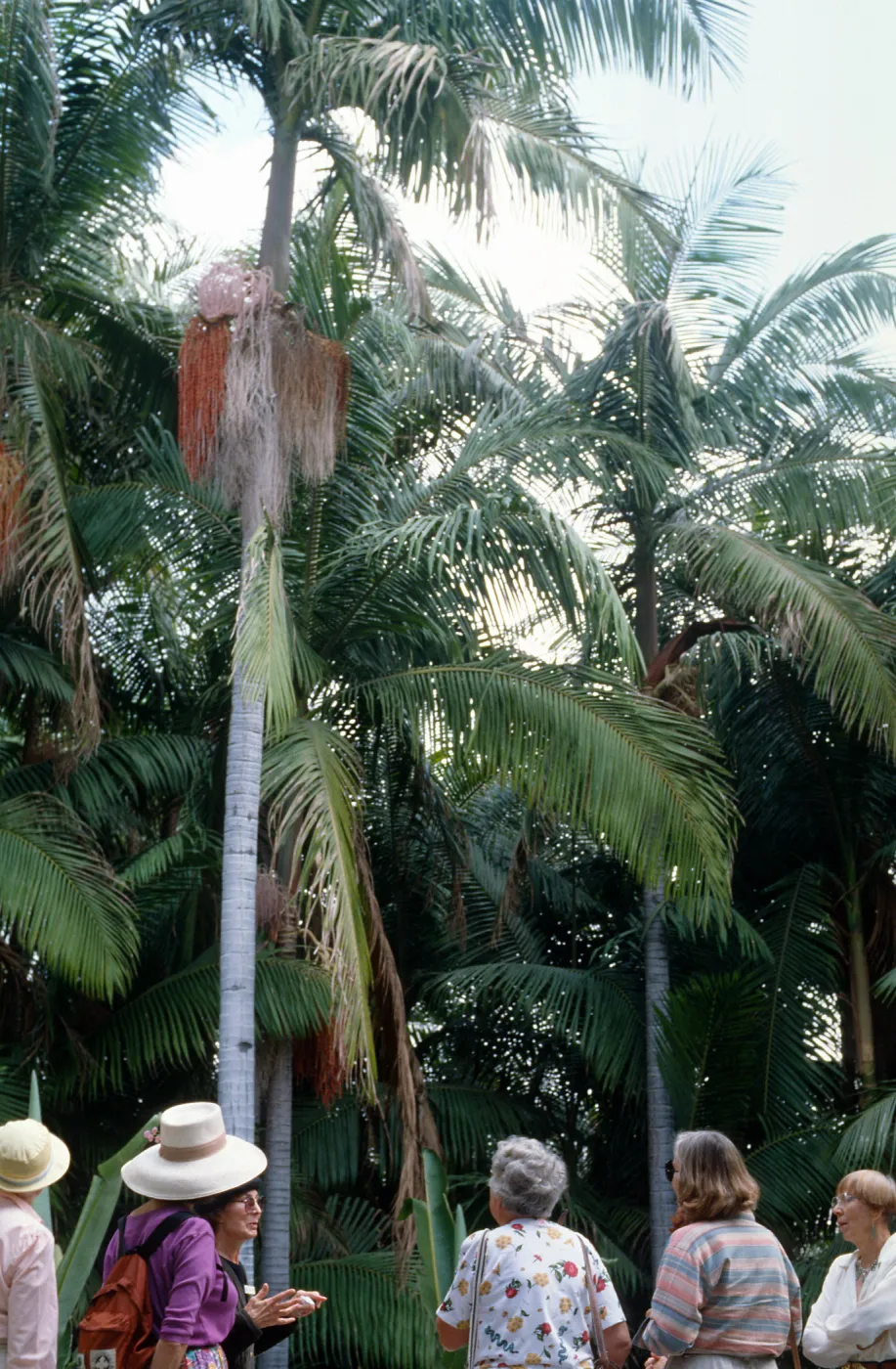 Docent field trip to Virginia Robinson Gardens, Beverly Hills