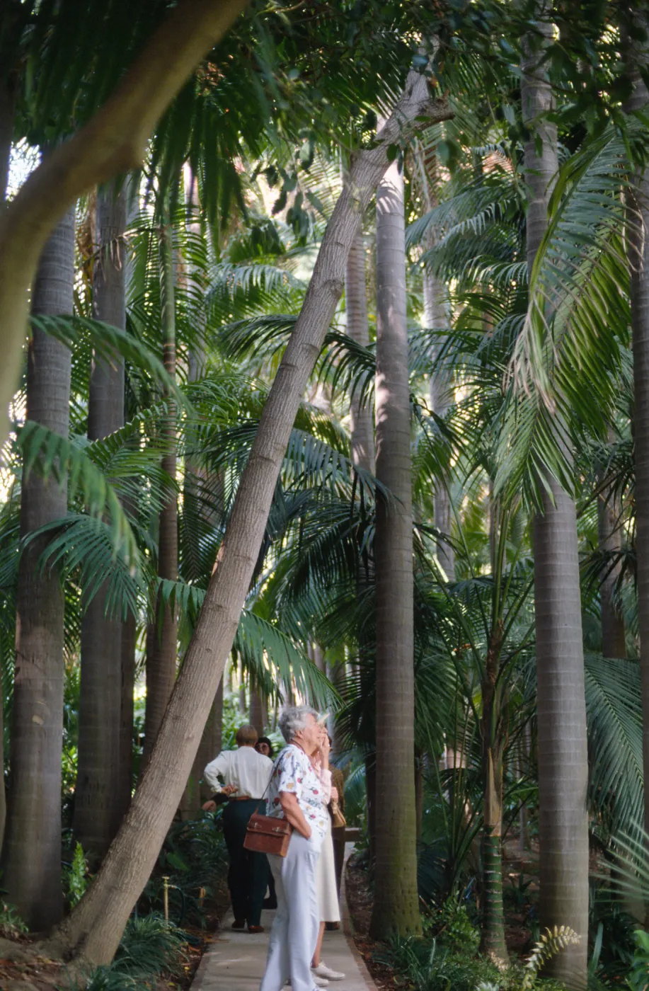 Docent field trip to Virginia Robinson Gardens, Beverly Hills