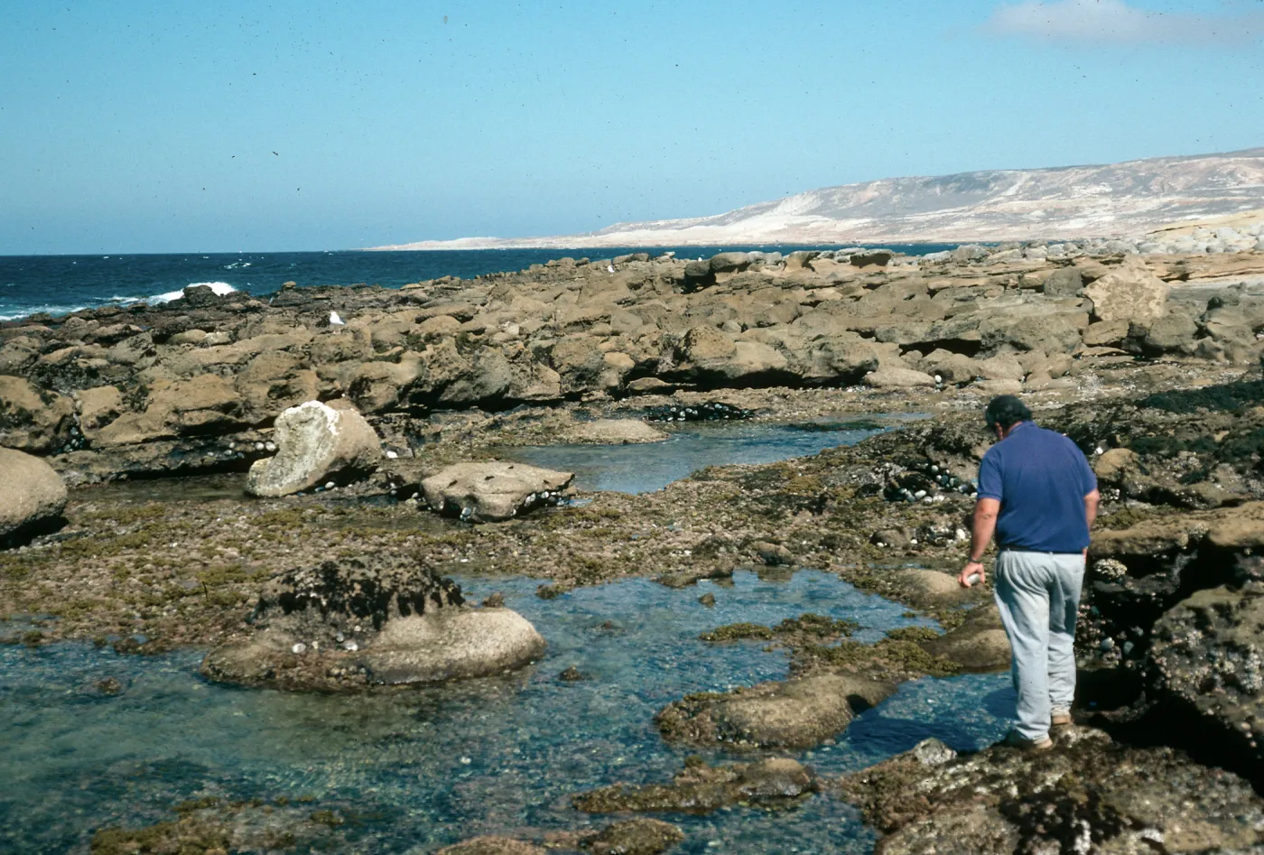 Tidepools, San Nicolas Island, Vizcaino Point