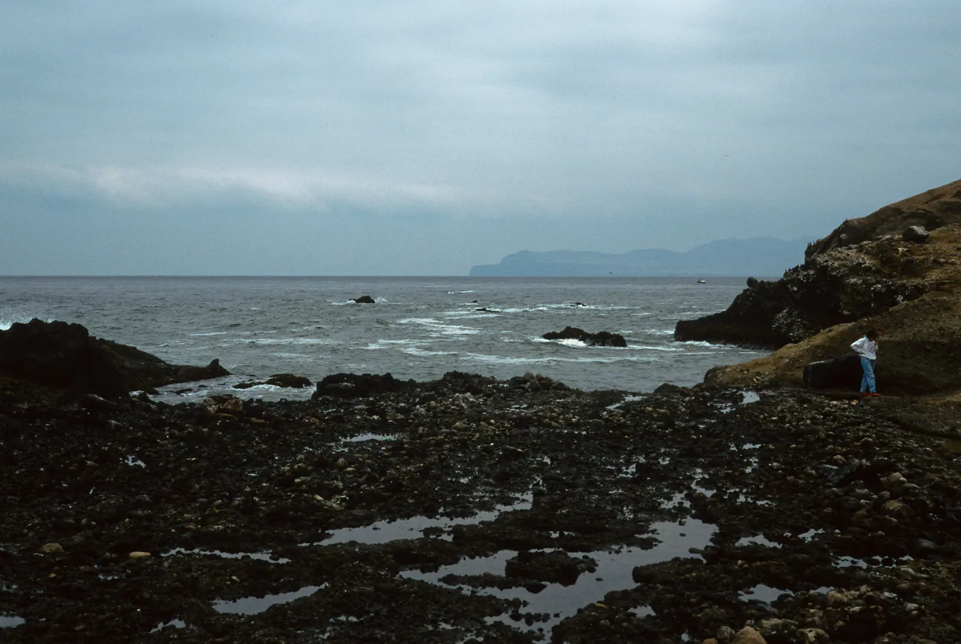 tidepools, just W. of Carrington Point peninsula, Santa Rosa Island
