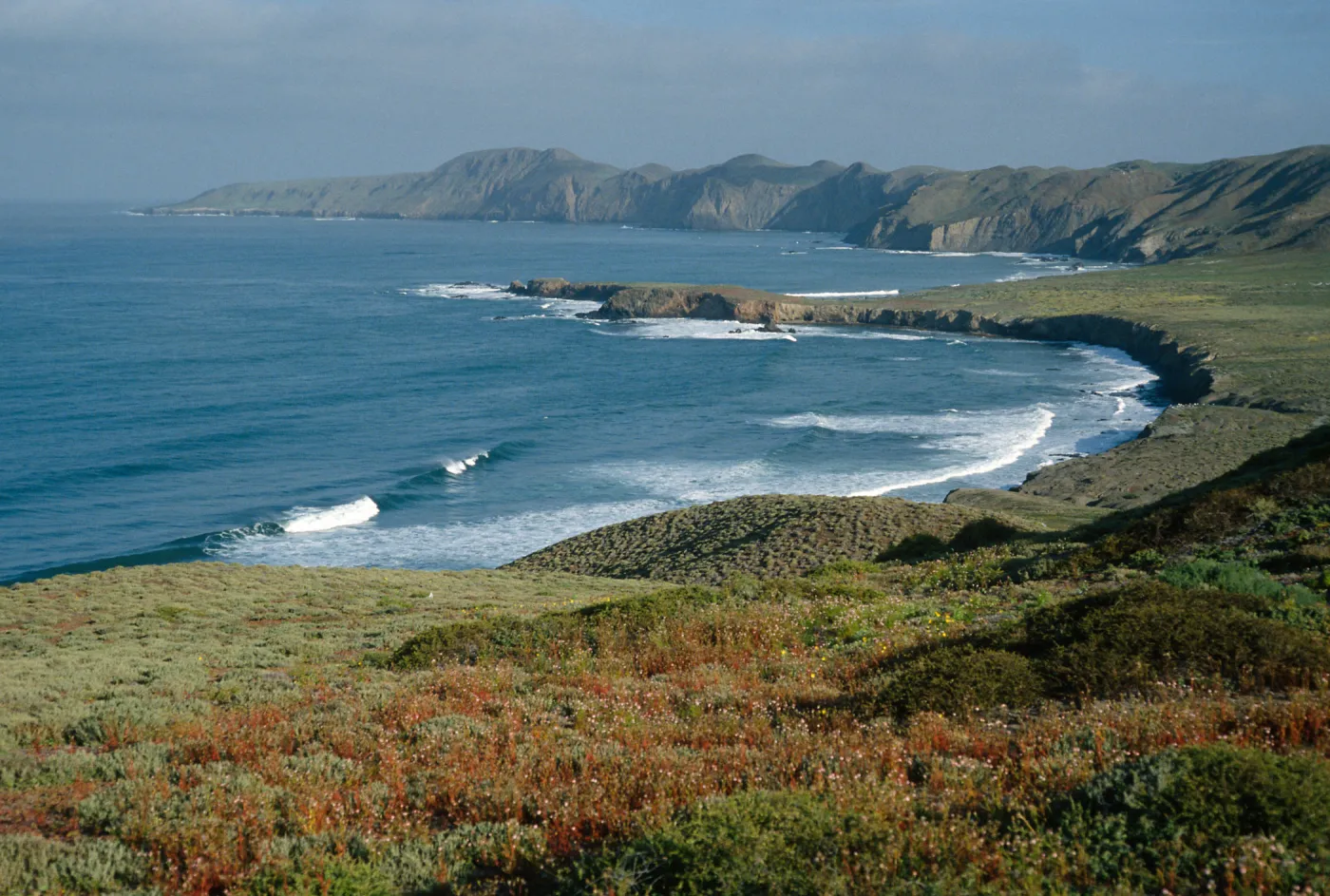 W. side of island, looking north, Natividad I.