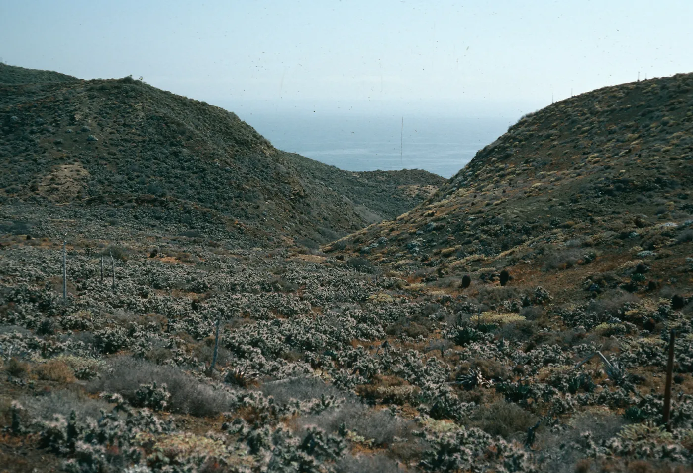 Natividad Island
