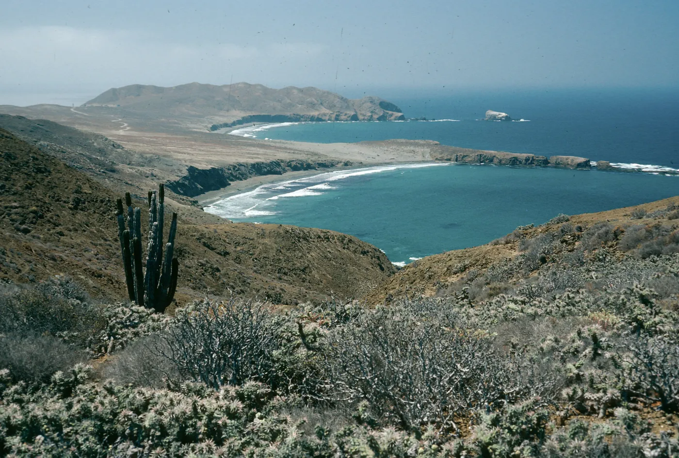 SW portion of island, looking south., Natividad Island