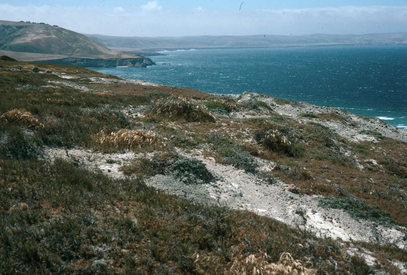 SW anchorage from Skunk Point peninsula, Santa Rosa Island