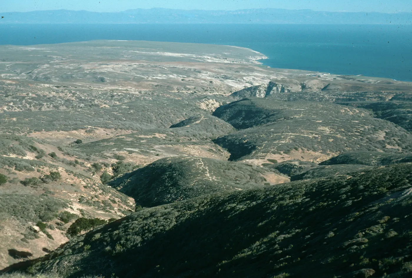 Cherry Canyon. Santa Rosa Island
