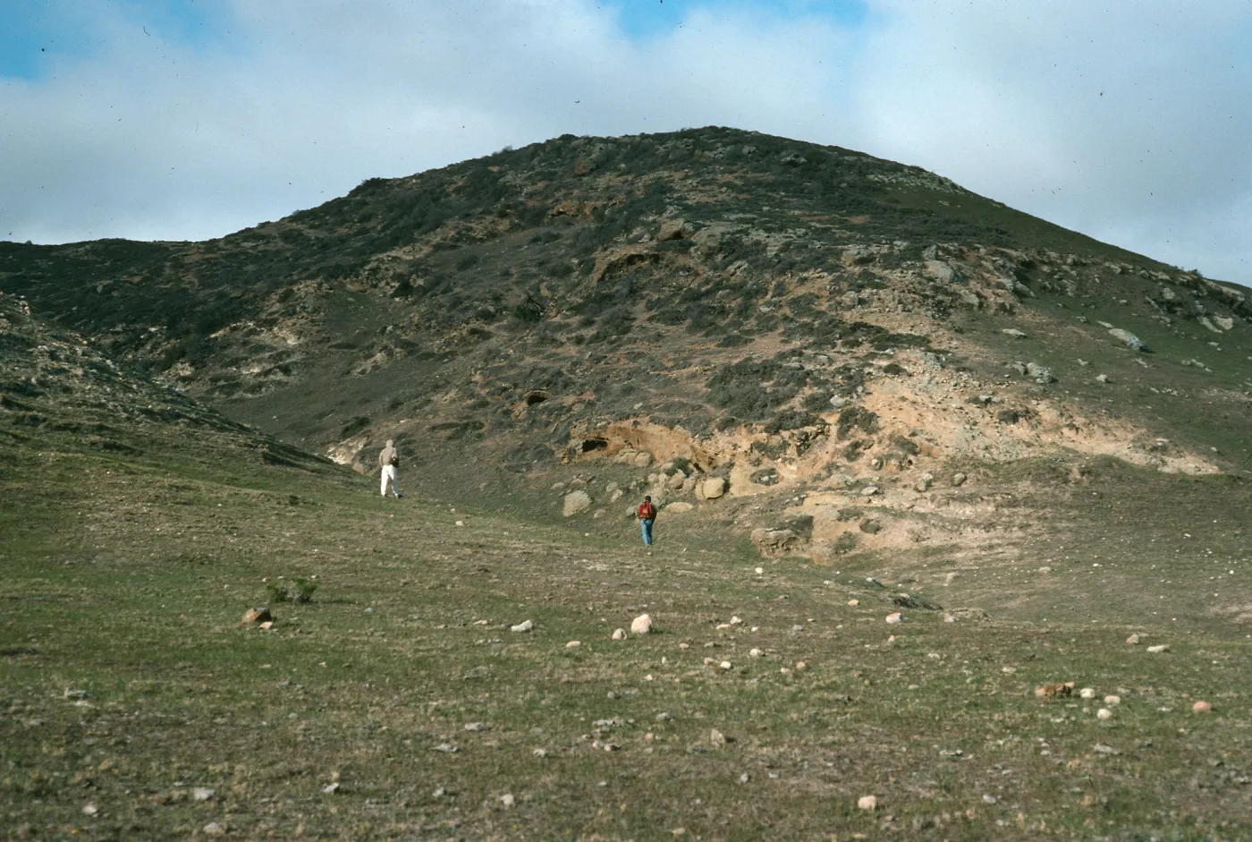 Chapparal, cyn W of Torrey Pines, S. Rosa I.