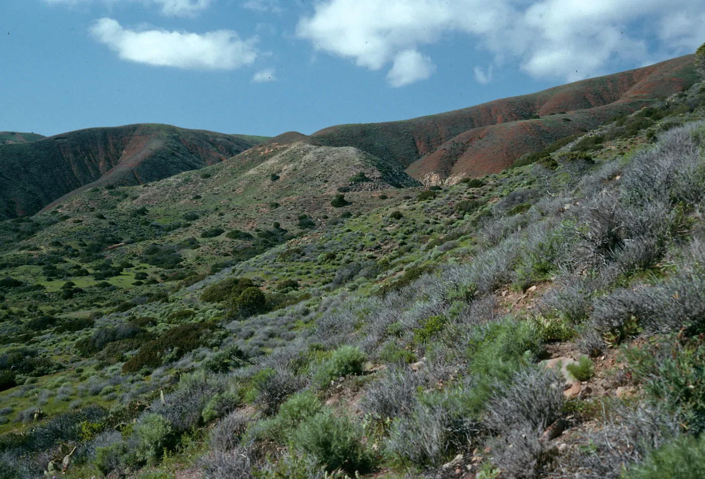 View from Coches Prietos reach area, Santa Cruz Island