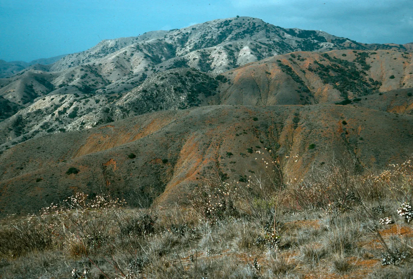 Geologic contact, looking west from ridge on E side of Coches Prietos, Santa Cruz Island