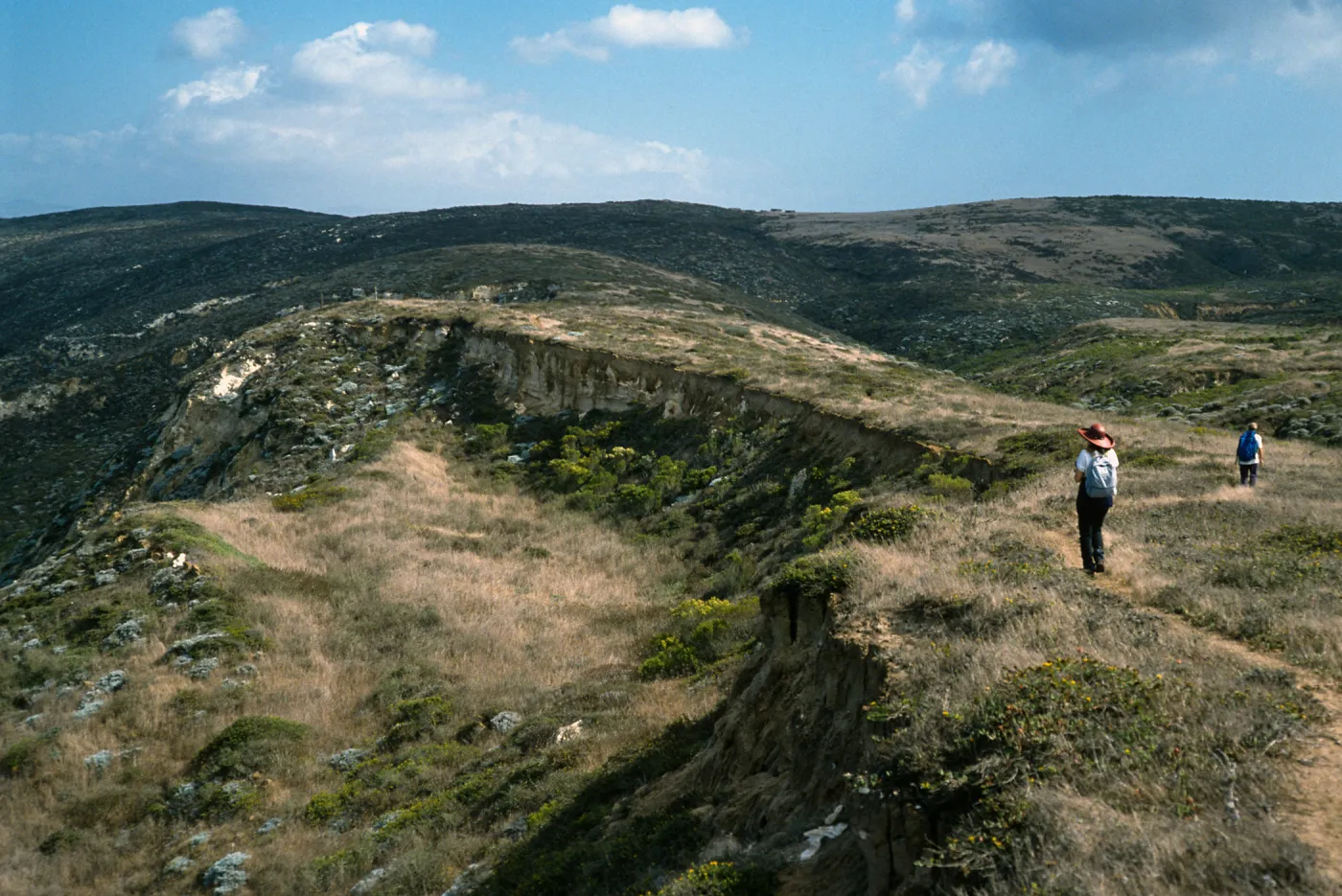 South of Harris Pt. peninsula, San Miguel Island