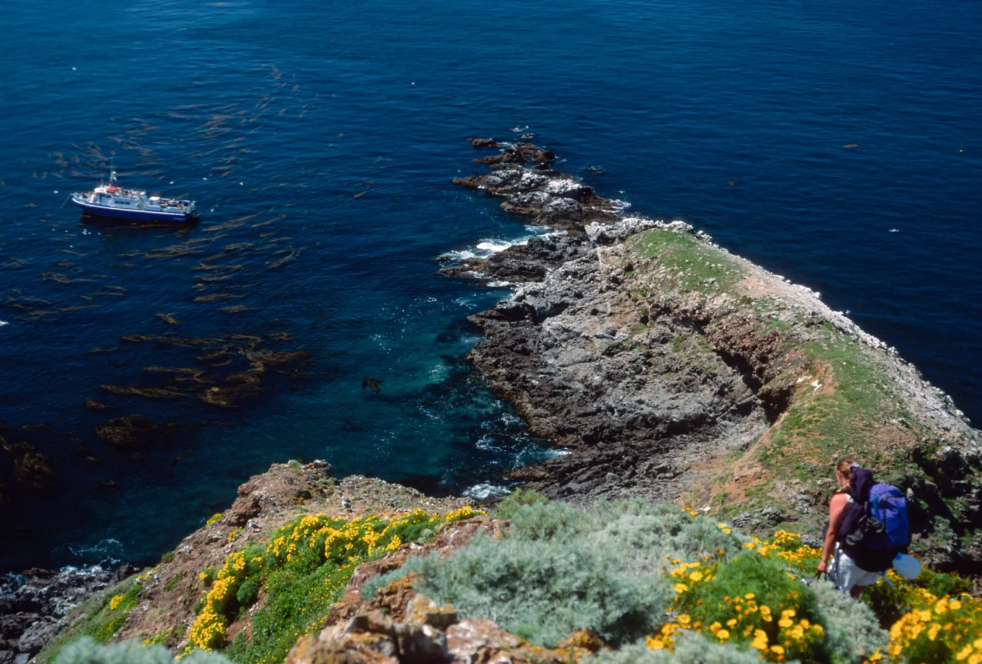 trail down to Rat Rock, W. Anacapa Island
