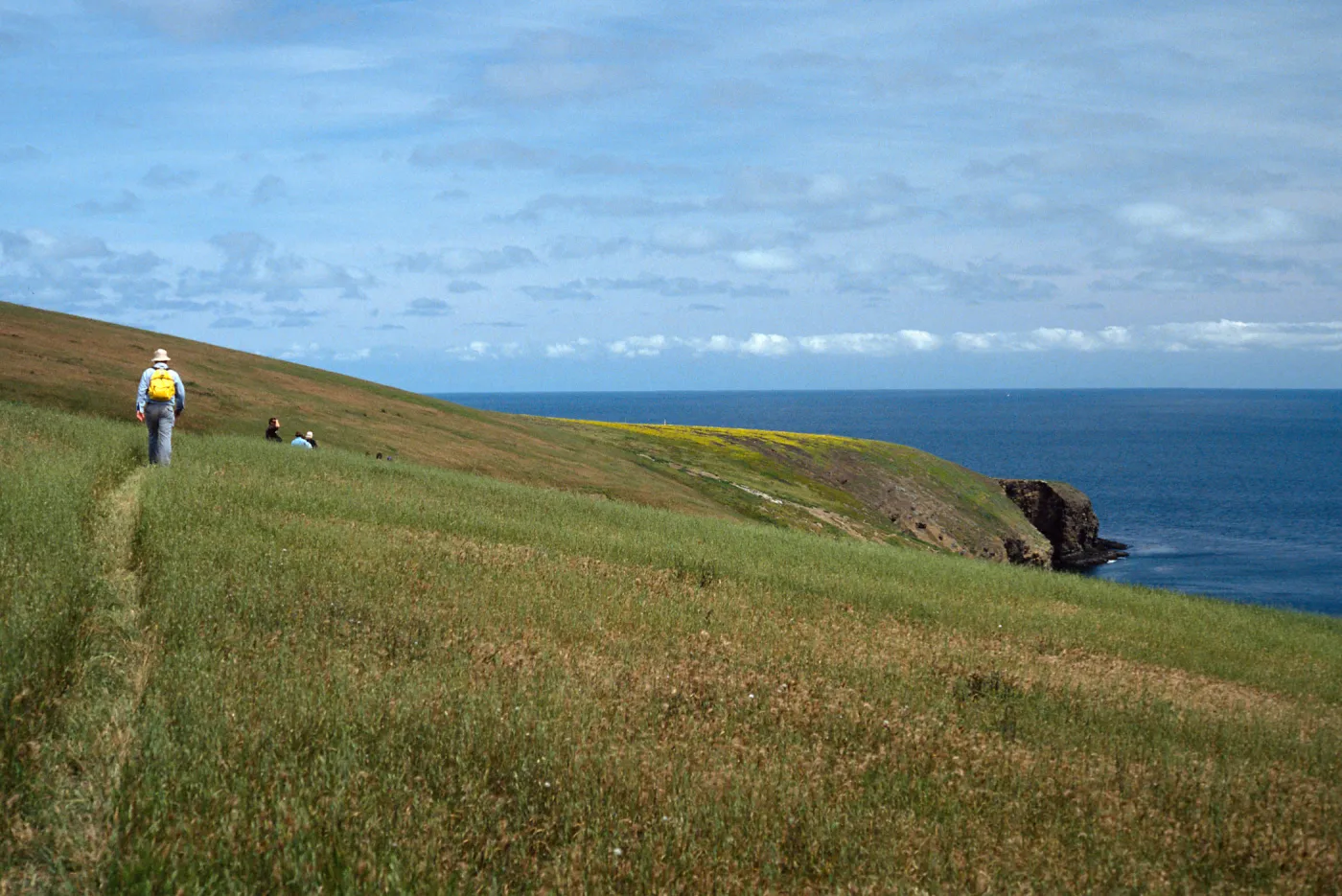 Trail south of landing cove