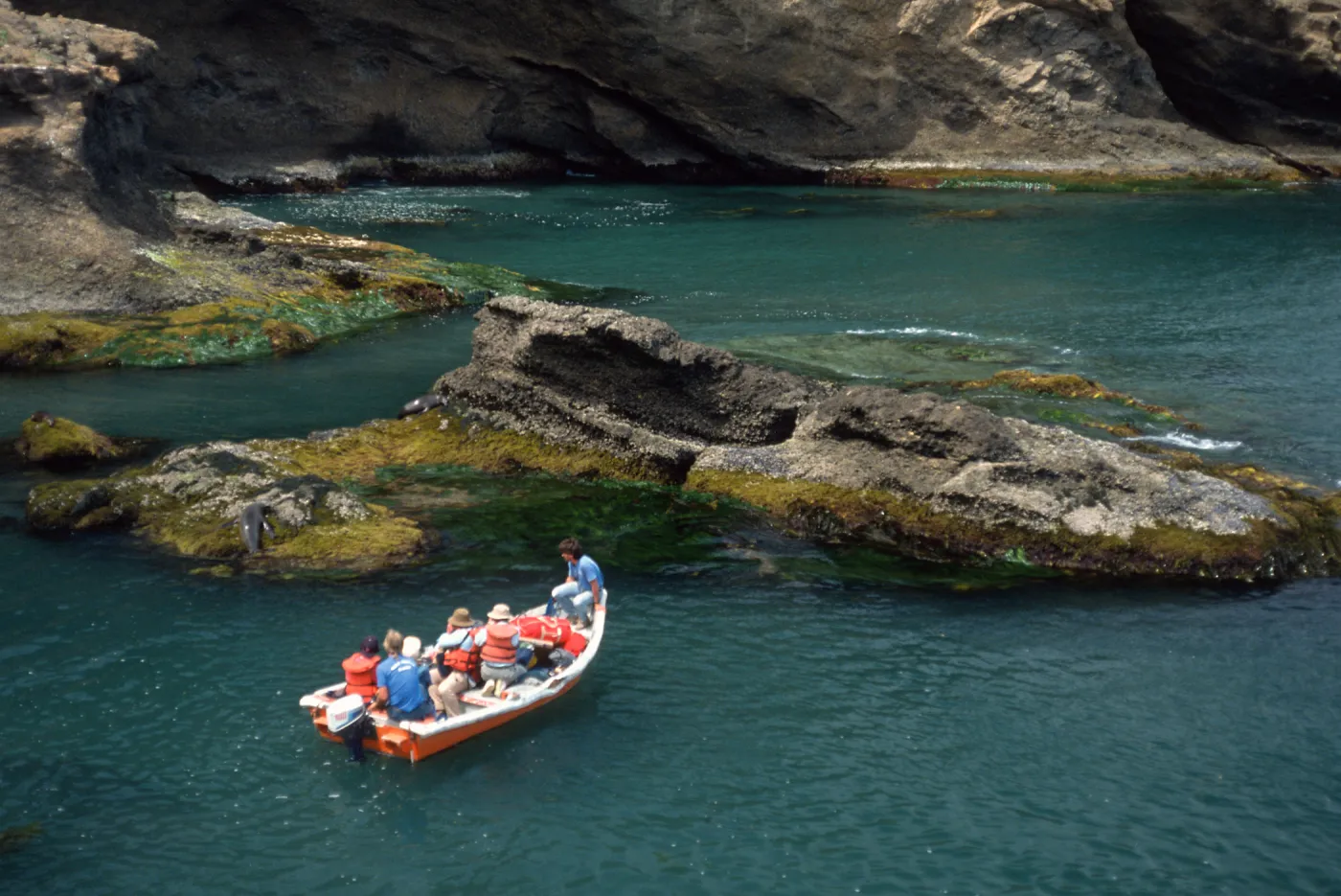Skiff in landing cove, S. Barbara I.