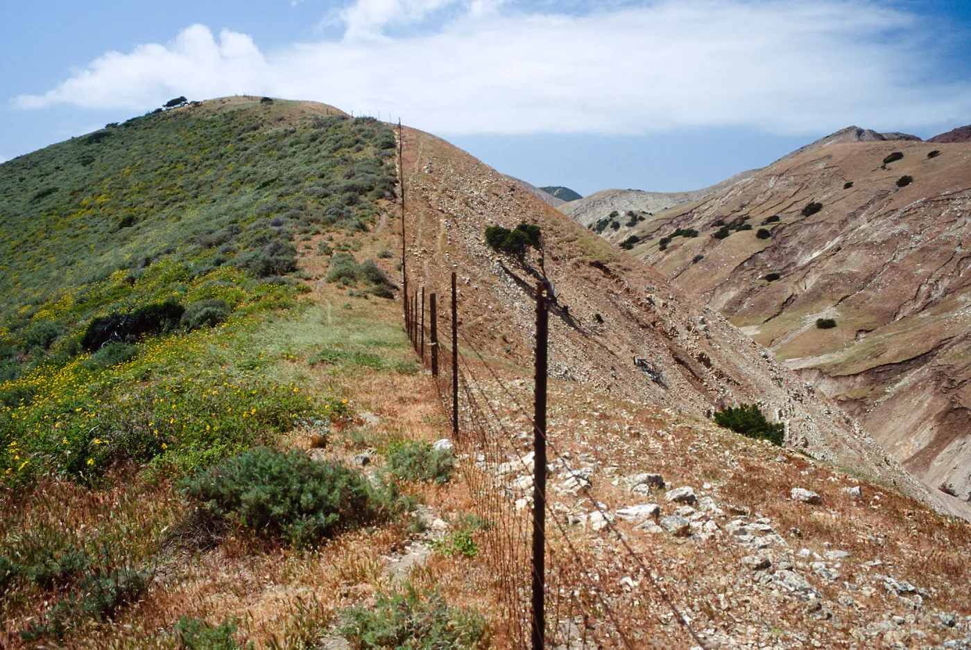 Fenceline, just W. of Montañon Cyn