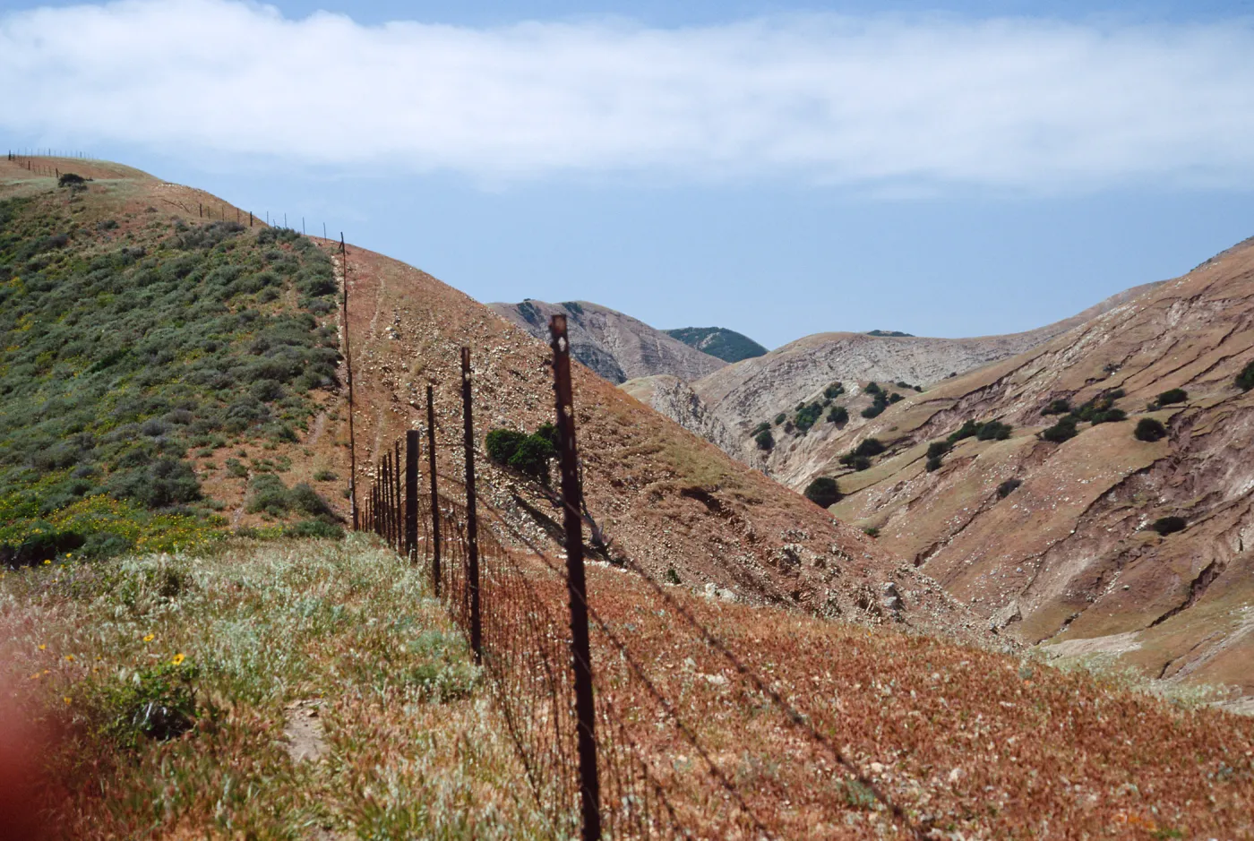 Fenceline, just W. of Montañon Cyn., 