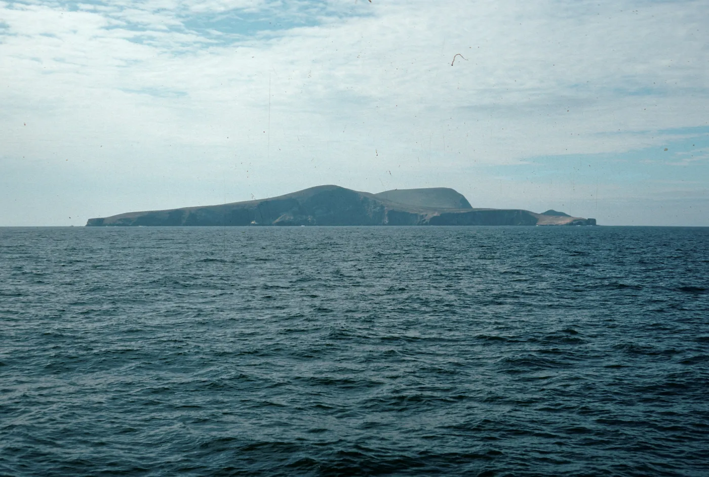 Santa Barbara Island