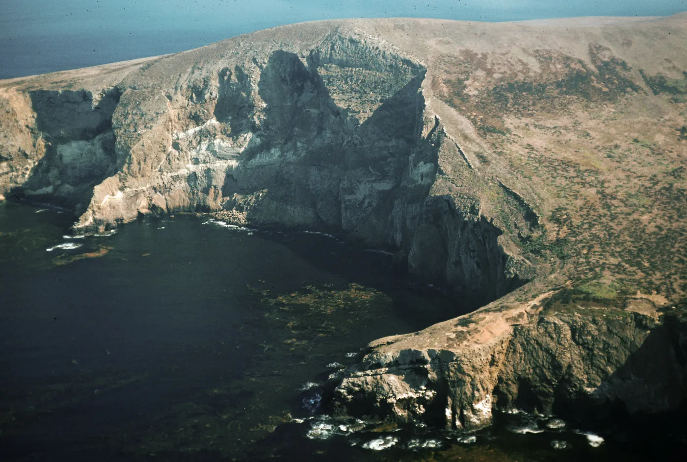 North side of Santa Barbara Island