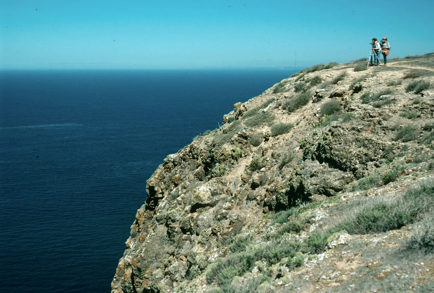 Bluffs, Signal Peak, Santa Barbara Island