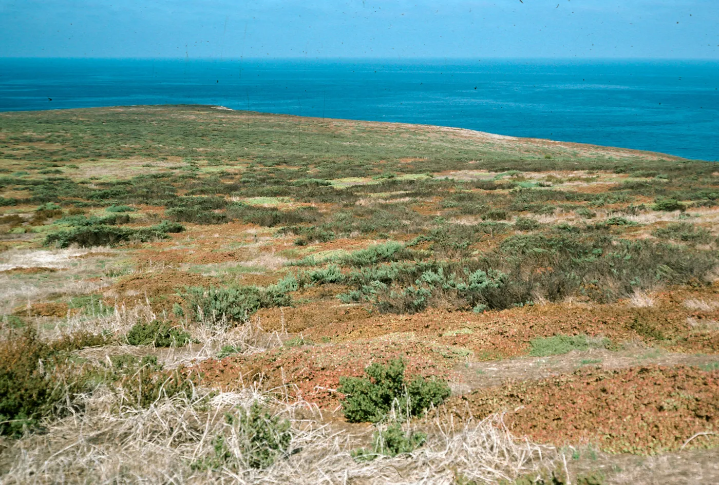 West slopes,site of potato patch during Hyder Years