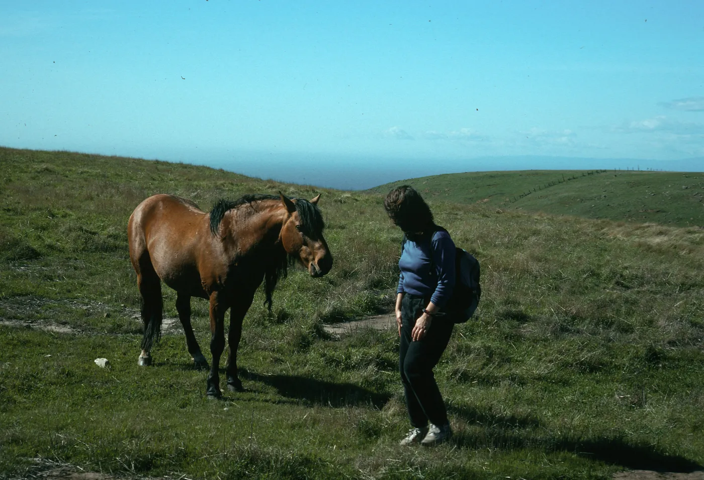 Margie & horse, Scorpion/Smugglers Rd., S. Cruz I.