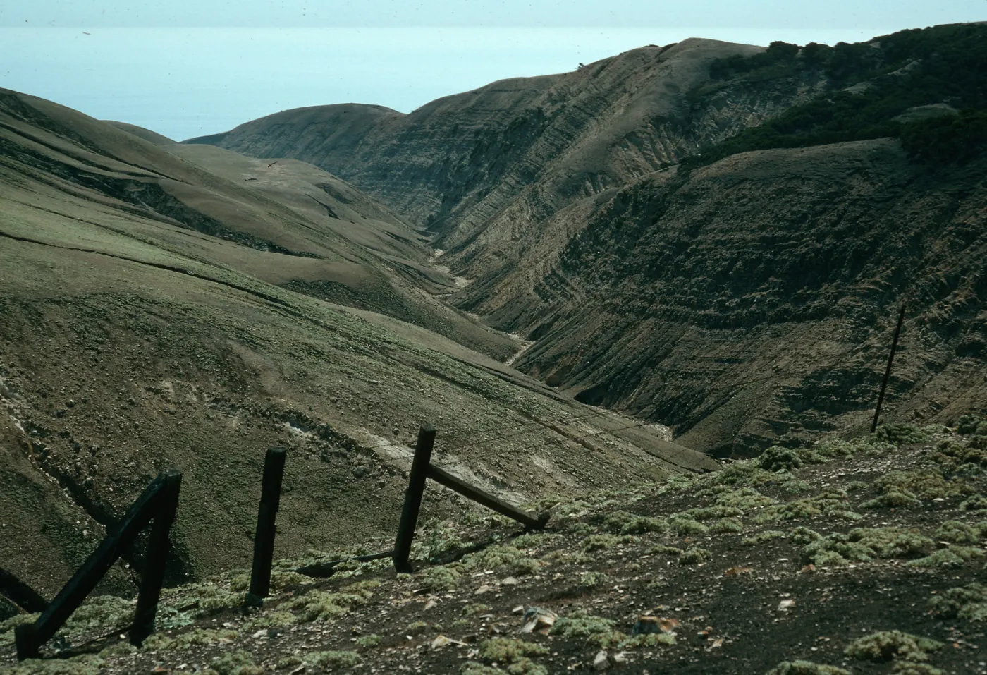 canyon on S side at sheep fence bet. Stanton & Gherini Ranches