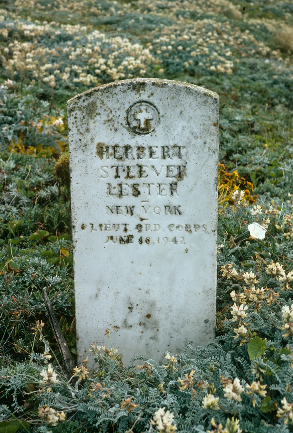 Lester grave, San Miguel Island