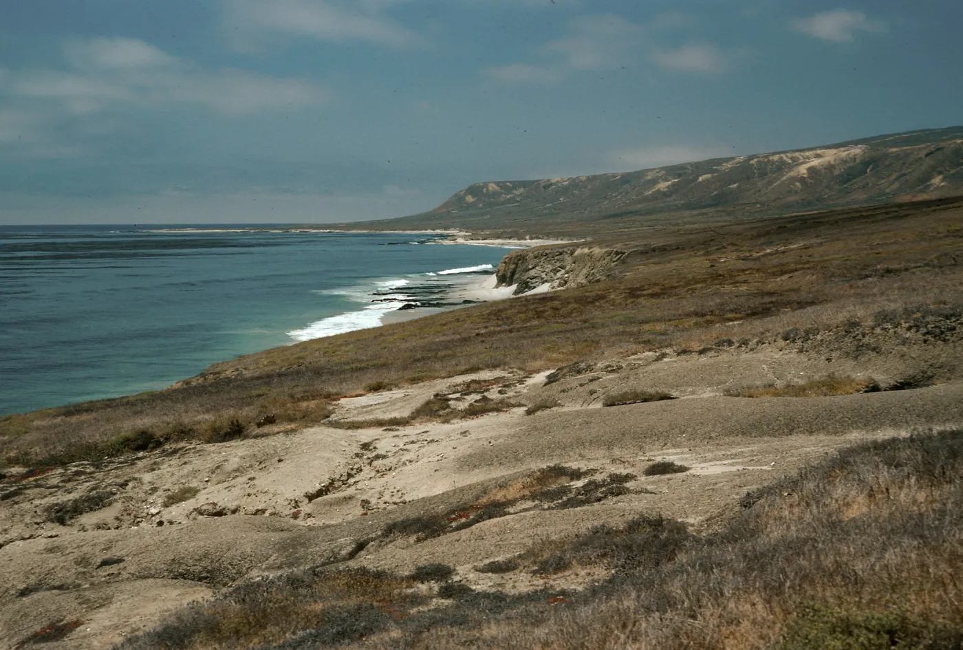 Southeast flats, San Miguel Island