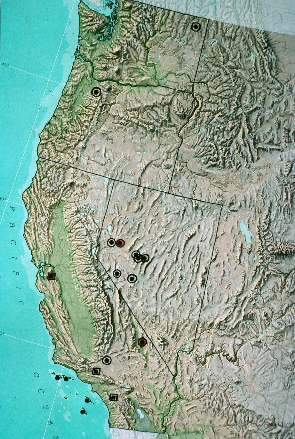 Lyonothamnus-fossil distribution
