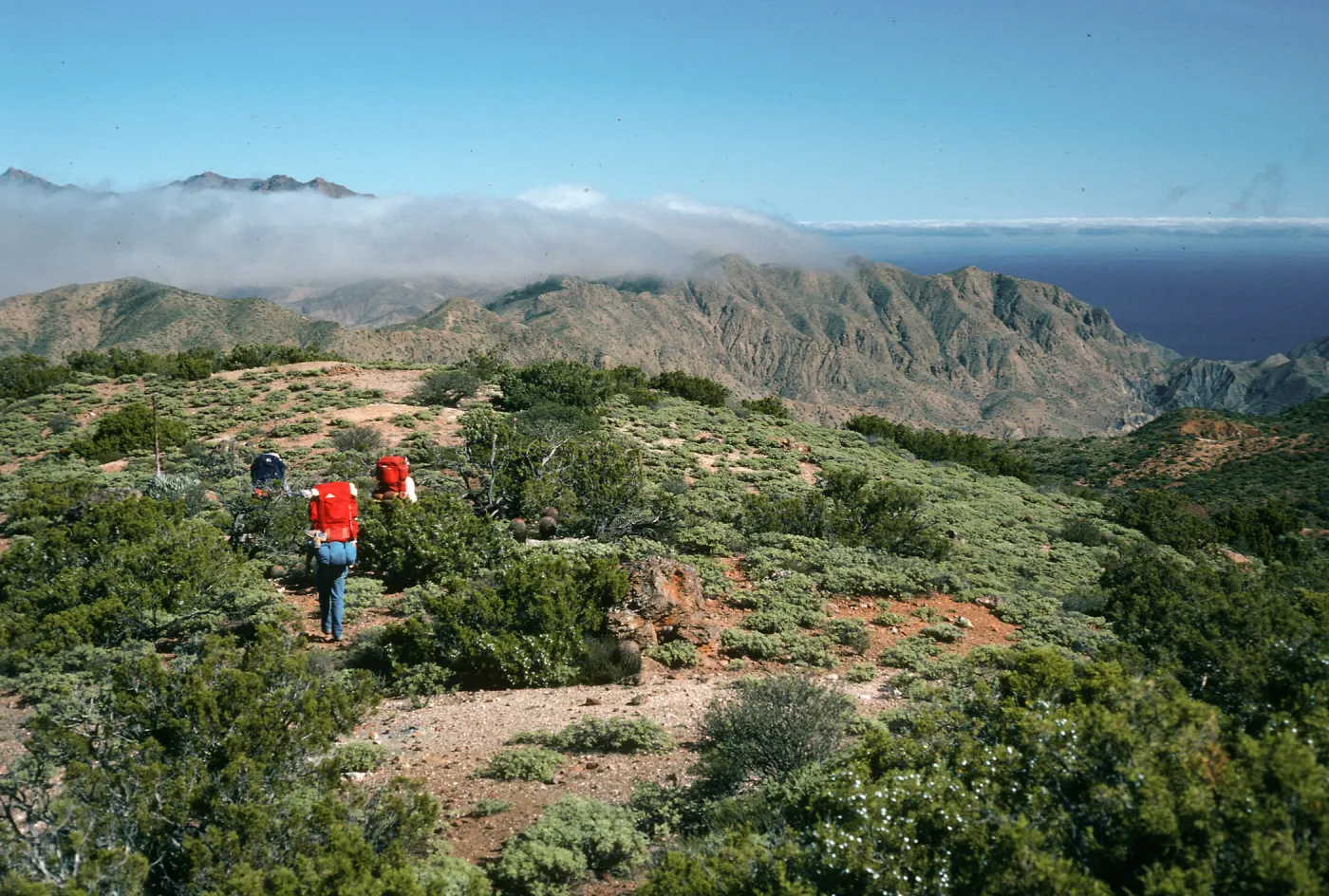 Cedros Island
